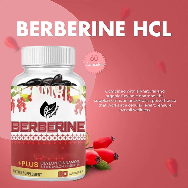 Berberine HCL 1200mg, Containi - Berberine Hcl Capsule avaliação e preço