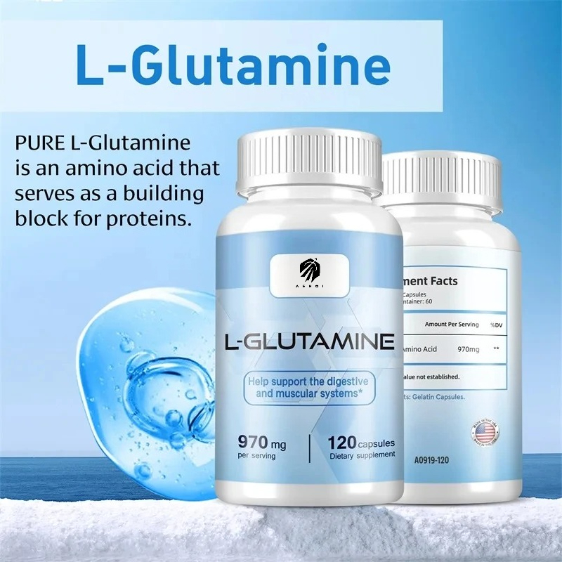L-Glutamine Supplement for Wor - Nutrition Fitness Supplements avaliação e preço