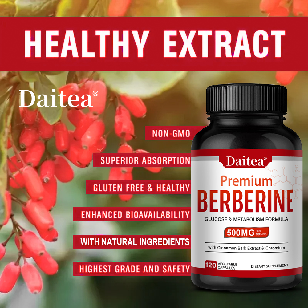 Berberine HCL 500mg Capsules w - Berberine Hcl Capsule avaliação e preço