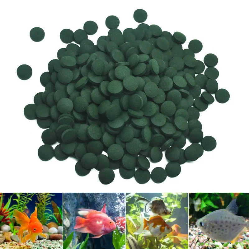50-1000pcs High Purity Spiruli - Spirulina Tablet Organic avaliação e preço