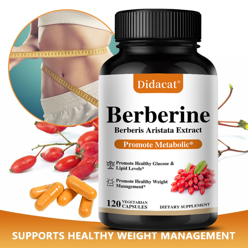 Berberine HCL Capsules 500mg,  - Berberine Hcl Capsule avaliação e preço