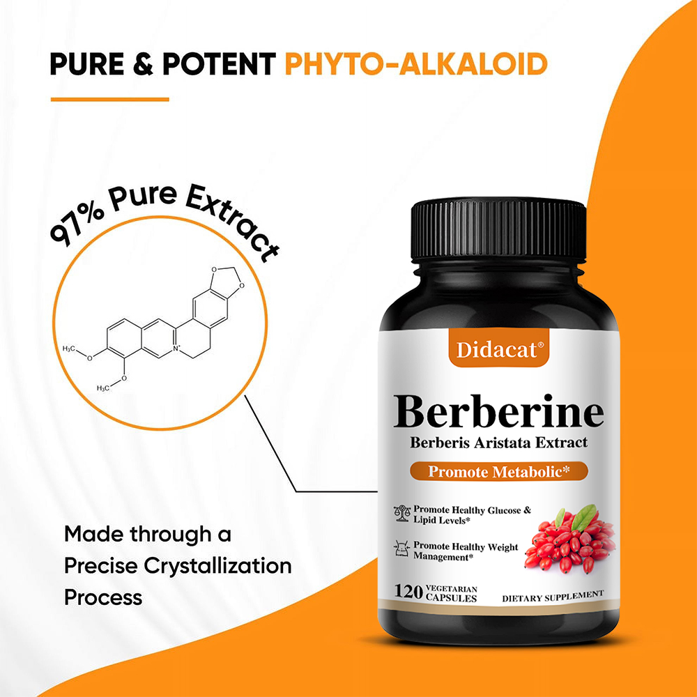 Berberine HCL Capsules 500mg,  - Berberine Hcl Capsule avaliação e preço