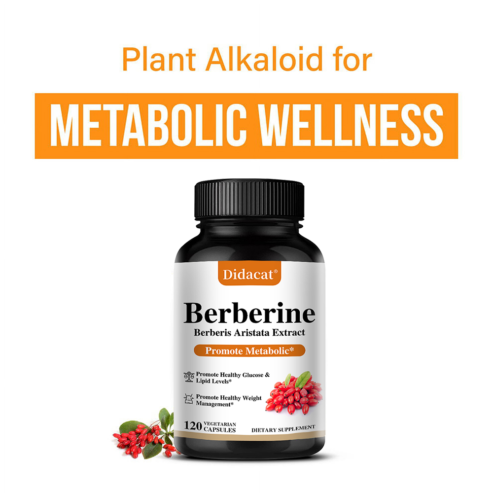 Berberine HCL Capsules 500mg,  - Berberine Hcl Capsule avaliação e preço