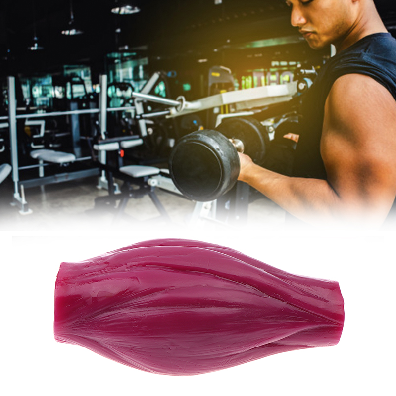 1lb Muscle to Keep Fit & Weigh - Nutrition For Fitness Course avaliação e preço
