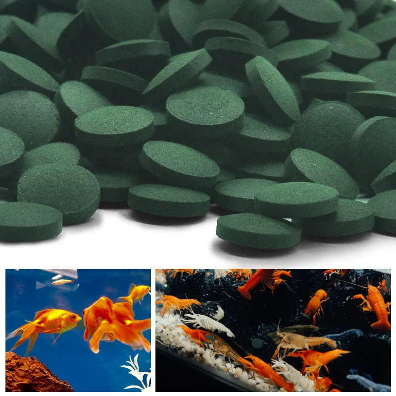 High Purity Spirulina Tablets  - Spirulina Tablet Organic avaliação e preço
