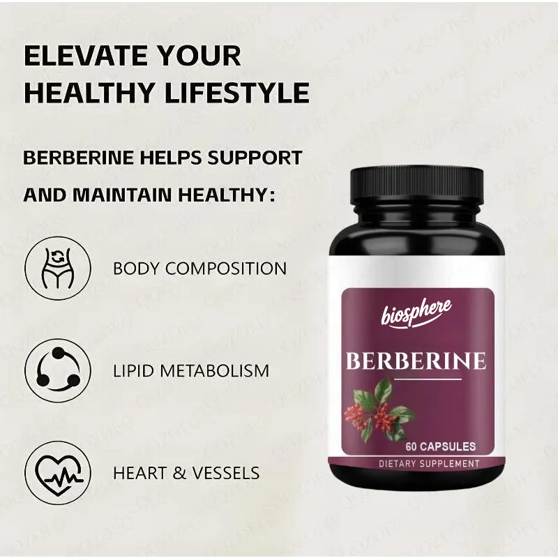 Berberine Supplement-60 vegeta - Berberine Hcl Capsule avaliação e preço